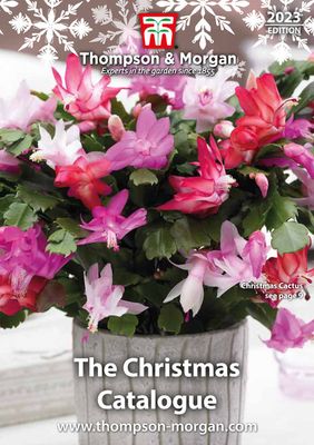 Thompson & Morgan catalogue | The Christmas Catalogue | 26/10/2023 - 24/12/2023