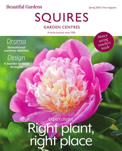 Garden & DIY offers in Dorking | Spring 2024 in Squires Garden Centres | 01/03/2024 - 31/05/2024