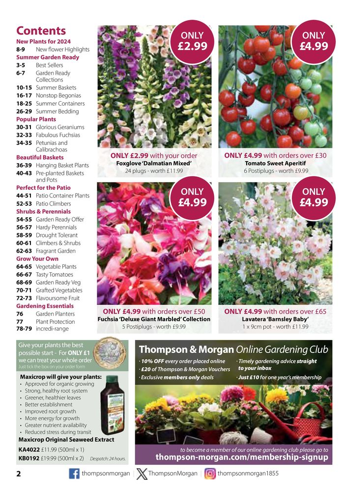 Thompson & Morgan catalogue | Spring Best Sellers 2024 | 21/03/2024 - 31/05/2024