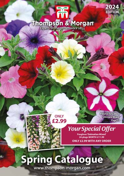Garden & DIY offers in Sittingbourne | Spring Best Sellers 2024 in Thompson & Morgan | 21/03/2024 - 31/05/2024