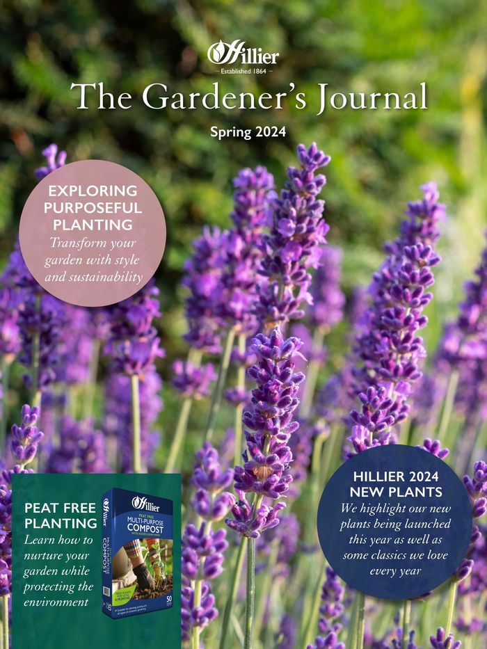 Hillier Garden Centres catalogue in Romsey | Spring 2024 | 25/03/2024 - 31/05/2024