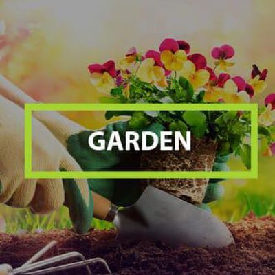 Home Bargains catalogue in East Kilbride | Garden Offers | 04/04/2024 - 17/04/2024