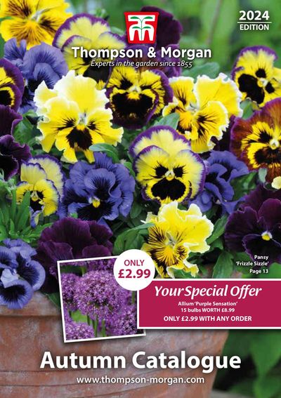 Garden & DIY offers in Perth | Autumn Catalogue 2nd Version in Thompson & Morgan | 01/09/2024 - 30/11/2024