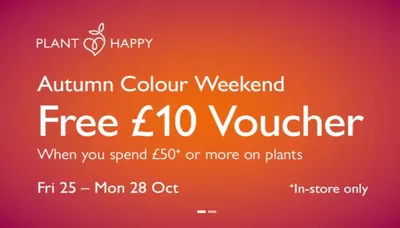 Garden & DIY offers in Dorking | Autumn Colour Weekend in Squires Garden Centres | 24/10/2024 - 07/11/2024