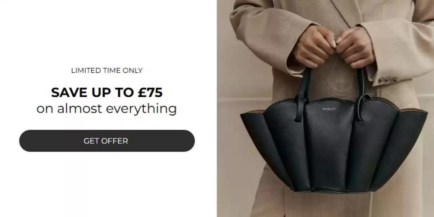 Radley catalogue in Bath | Save Up To £75 | 28/10/2024 - 11/11/2024