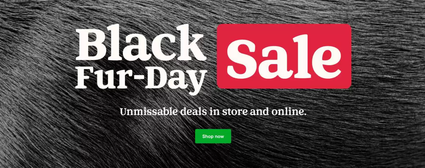 Pets at Home catalogue in Blackburn | Black Fur-day | 07/11/2024 - 30/11/2024