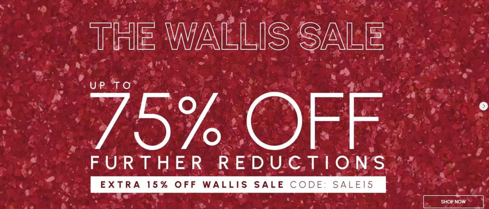 Wallis catalogue in Horsham | Up To 75% Off  | 27/12/2024 - 10/01/2025