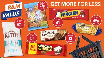 B&M Stores catalogue in Nottingham | B&M Value | 28/01/2025 - 11/02/2025