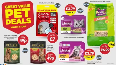 B&M Stores catalogue in Nottingham | Great Value Pet Deals  | 28/01/2025 - 11/02/2025