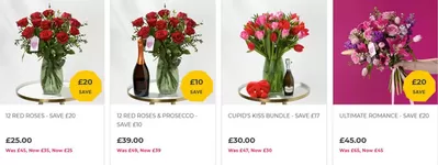 Garden & DIY offers in Comber | Offers in Flying Flowers | 13/02/2025 - 27/02/2025