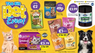 B&M Stores catalogue in Castleford | The Big Pet Event  | 25/02/2025 - 26/03/2025