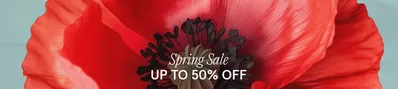 Monsoon catalogue in London | Up To 50% Off | 06/03/2025 - 20/03/2025