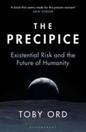 The Precipice offers at £13.99 in Blackwell's