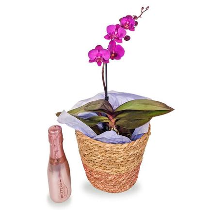 Purple Orchid & Mini Prosecco Gift Set - Free Delivery! offers at £28.99 in Card Factory
