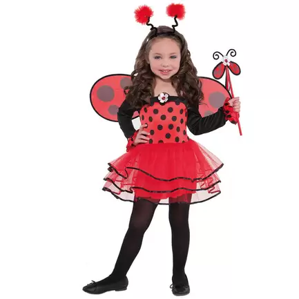 Ballerina Ladybug Children's Fancy Dress Costume (4-6 Years) offers at £14.99 in Card Factory