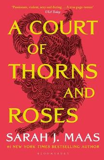 A Court of Thorns and Roses offers at £8.99 in Foyles