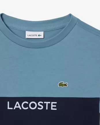 Cotton Colour-Block T-shirt offers at £35 in Lacoste