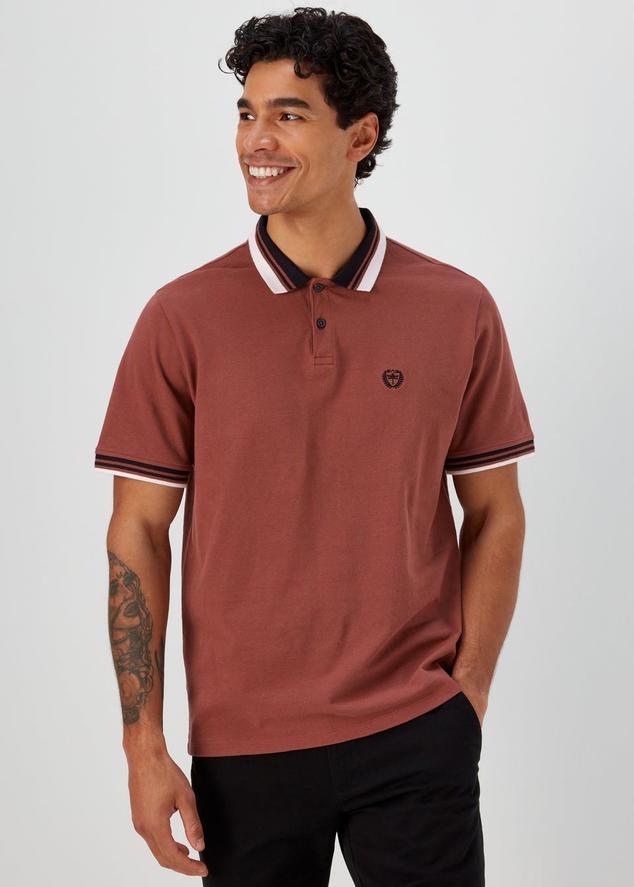 Brown Tipped Polo Shirt offers at £6.5 in Matalan