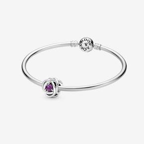 February Birthstone Eternity Circle Bangle Gift Set offers at £70 in Pandora