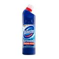 Domestos  Thick Bleach Original 750 ml offers at £1 in Poundland