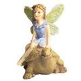 Fairy On Tortoise Ornament offers at £1.5 in Poundland