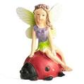 Fairy On Ladybird Garden Ornament offers at £1.5 in Poundland