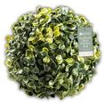 Artificial Mini Topiary Ball Garden Decoration offers at £3 in Poundland