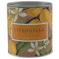 Citronella Outdoor Candle offers at £2 in Poundland