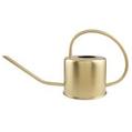 Pepco Gold Metal Watering Can offers at £5 in Poundland