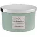 Home Premium Edition Metallic 3 Wick Candle - Meadow Escape offers at £4 in Poundland