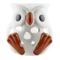 Autumn Owl Tealight Holder, 11cm offers at £2.5 in Poundland