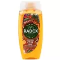 Radox Shower Gel - Winter Edition Cosy Cabin, 225ml offers at £1 in Poundland