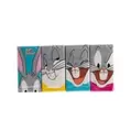 Loony Tunes Pocket Tissues (Pack of 8) offers at £1 in Poundland