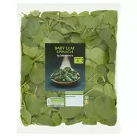 Sainsbury's Baby Leaf Spinach 200g offers at £1.5 in Sainsbury's