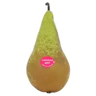 Sainsbury's Conference Pear Single offers at £0.4 in Sainsbury's