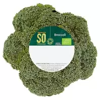 Sainsbury's Broccoli, SO Organic 300g offers at £1.15 in Sainsbury's