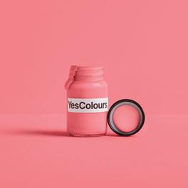 YesColours Malagasy Coral paint sample (60ml), Premium, Low VOC, Pet Friendly, Sustainable, Vegan offers at £6.5 in B&Q