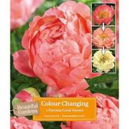Paeonia Lactiflora Coral Sunset - 1 Bulb offers at £6.99 in Squires Garden Centres