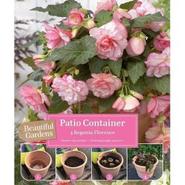 Begonia Cascade Florence - 4 Bulbs offers at £6.99 in Squires Garden Centres