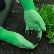 Master Gardener Lite Gloves offers at £5.99 in Squires Garden Centres