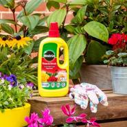 Miracle-Gro Rose & Shrub Plant Food 800ml offers at £5.99 in Squires Garden Centres