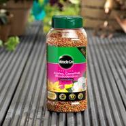 Miracle-Gro Premium Ericaceous Continuous Release Plant Food 900g offers at £7.99 in Squires Garden Centres