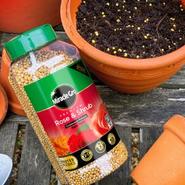 Miracle-Gro Premium Rose & Shrub Continuous Release Plant Food 900g offers at £7.99 in Squires Garden Centres