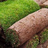 Direct - Rolawn 20+ - Medallion Turf offers at £6.99 in Squires Garden Centres