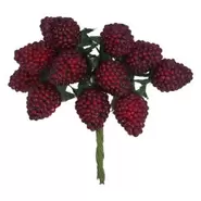 Dark Red Raspberry Bunch Pick offers at £2.49 in Squires Garden Centres