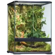 Exo Terra Natural Terrarium Small/Tall 45cmx45cmx60cm offers at £119.99 in Squires Garden Centres