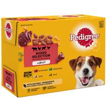 Pedigree Dog Food in Jelly 12pk offers at £4.49 in B&M Stores