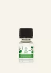 Basil & Thyme Home Fragrance Oil offers at £5 in The Body Shop