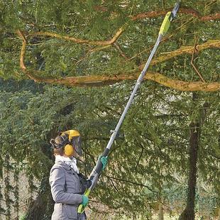 Corded Pole Chainsaw offers at £1500000 in Thompson & Morgan