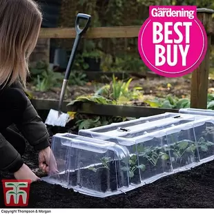 Mini Greenhouse Cloche offers at £299920 in Thompson & Morgan